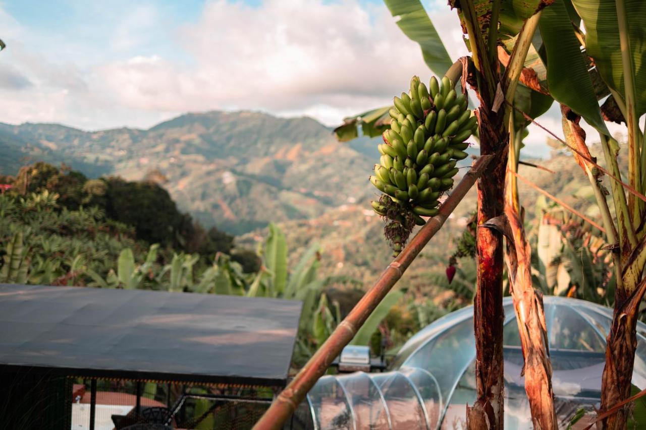 Chami Glamping Villa Manizales Eksteriør billede