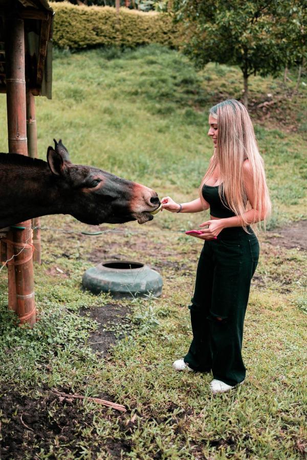 Chami Glamping Villa Manizales Eksteriør billede