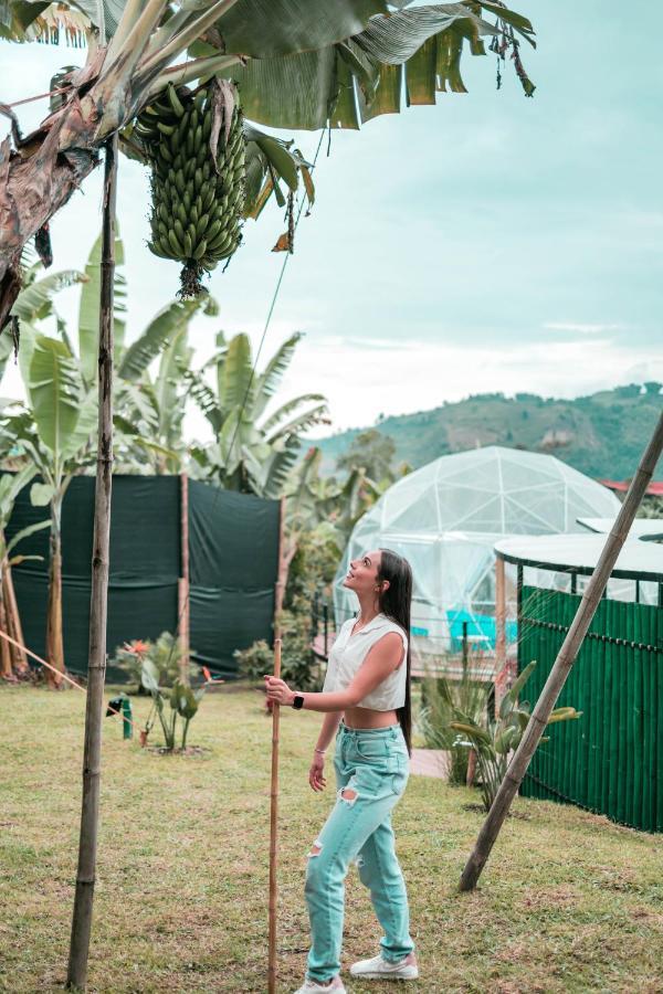 Chami Glamping Villa Manizales Eksteriør billede