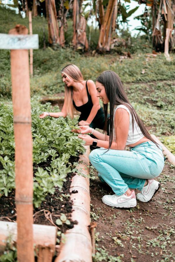 Chami Glamping Villa Manizales Eksteriør billede