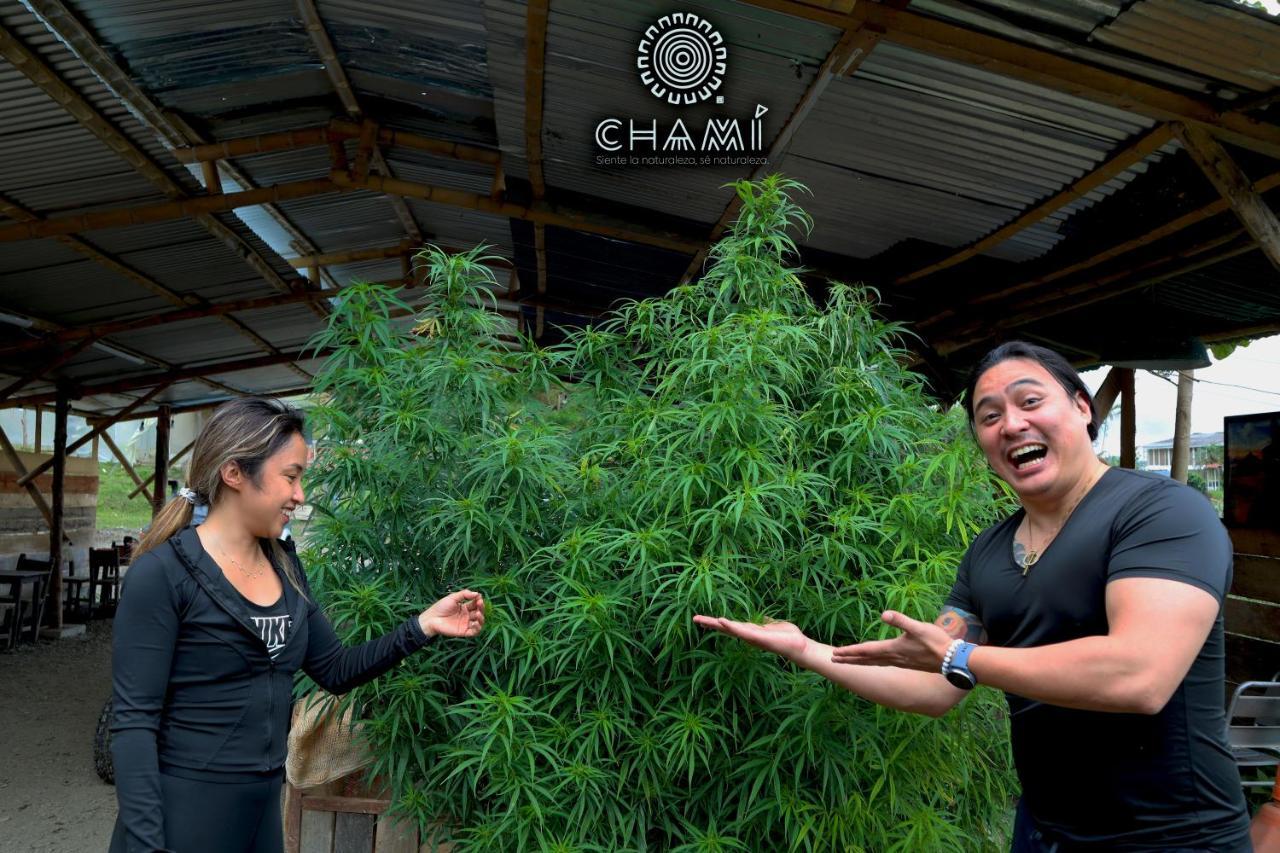 Chami Glamping Villa Manizales Eksteriør billede