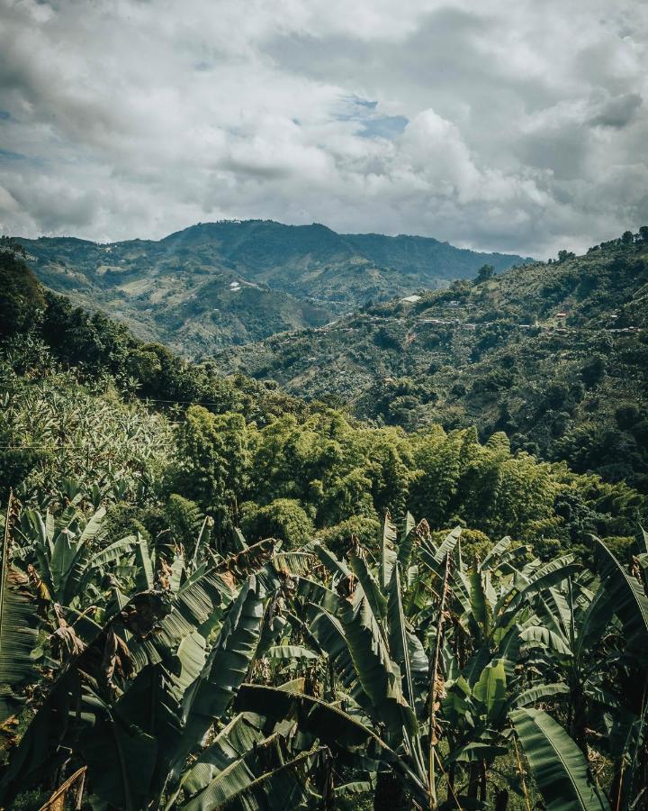 Chami Glamping Villa Manizales Eksteriør billede