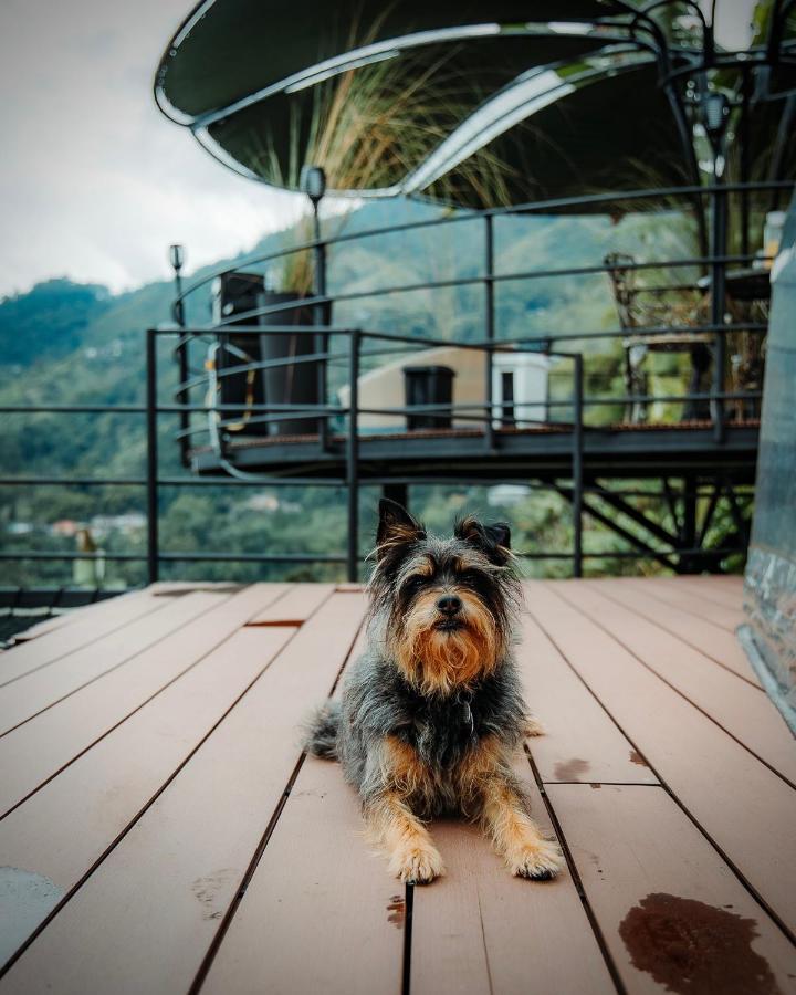 Chami Glamping Villa Manizales Eksteriør billede