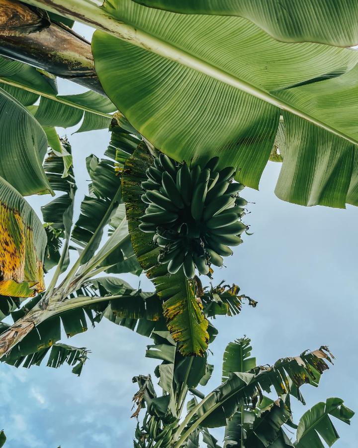 Chami Glamping Villa Manizales Eksteriør billede