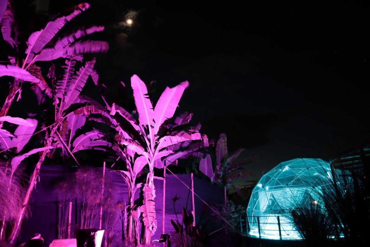 Chami Glamping Villa Manizales Eksteriør billede