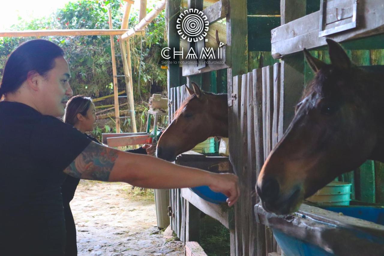 Chami Glamping Villa Manizales Eksteriør billede