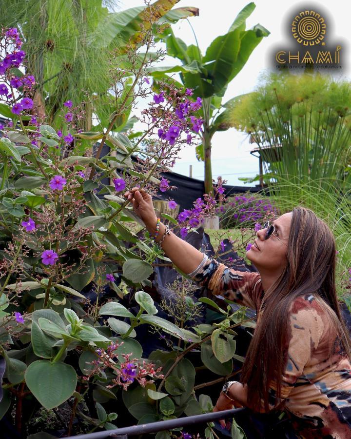 Chami Glamping Villa Manizales Eksteriør billede